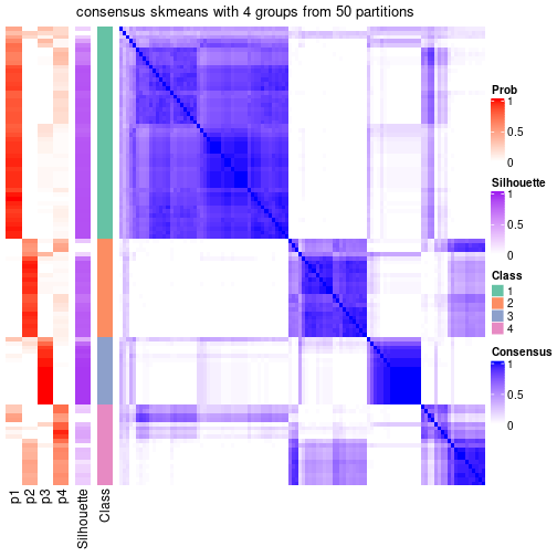 plot of chunk tab-node-0121-consensus-heatmap-3