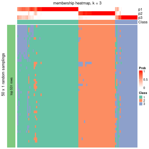 plot of chunk tab-node-0121-membership-heatmap-2