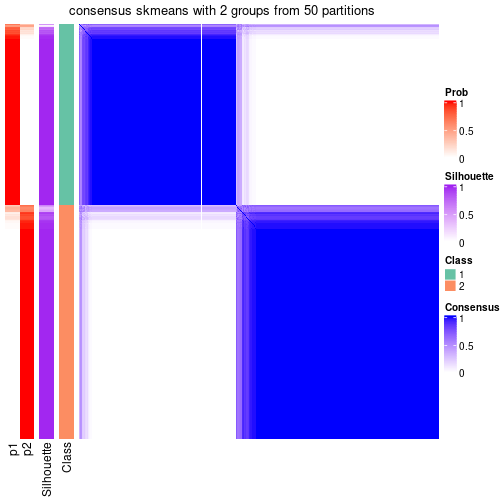 plot of chunk tab-node-021-consensus-heatmap-1