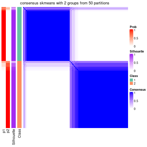 plot of chunk tab-node-0211-consensus-heatmap-1