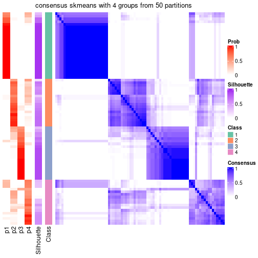 plot of chunk tab-node-02112-consensus-heatmap-3