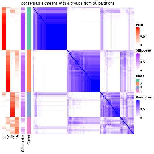 plot of chunk tab-node-0212-consensus-heatmap-3