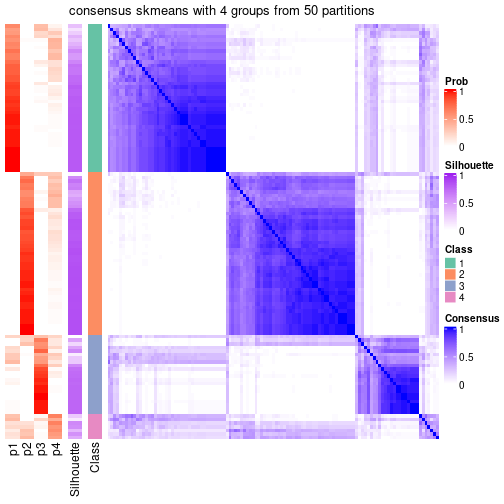 plot of chunk tab-node-0213-consensus-heatmap-3