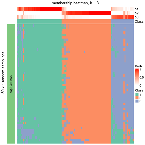 plot of chunk tab-node-0213-membership-heatmap-2