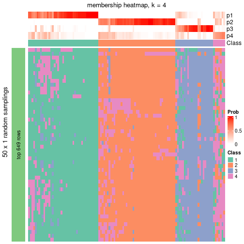 plot of chunk tab-node-0213-membership-heatmap-3