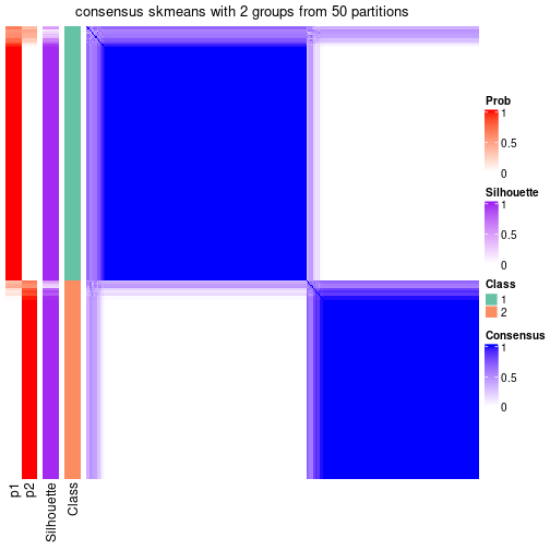 plot of chunk tab-node-022-consensus-heatmap-1