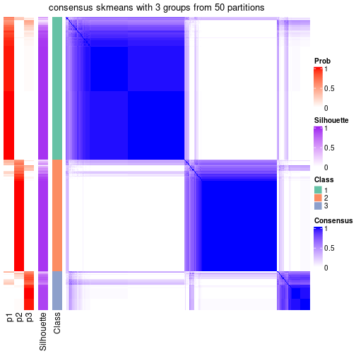 plot of chunk tab-node-022-consensus-heatmap-2