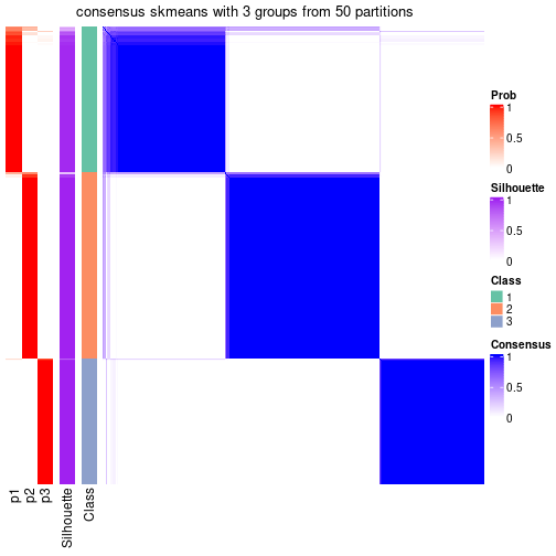 plot of chunk tab-node-03-consensus-heatmap-2