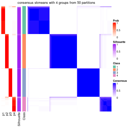 plot of chunk tab-node-03-consensus-heatmap-3