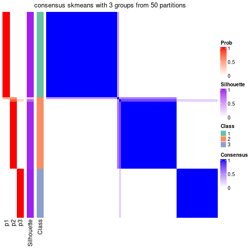 plot of chunk tab-node-031-consensus-heatmap-2