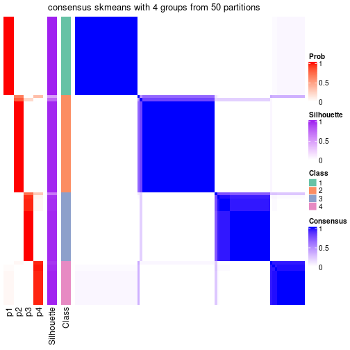 plot of chunk tab-node-031-consensus-heatmap-3