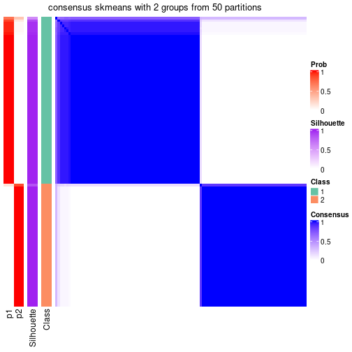 plot of chunk tab-node-032-consensus-heatmap-1