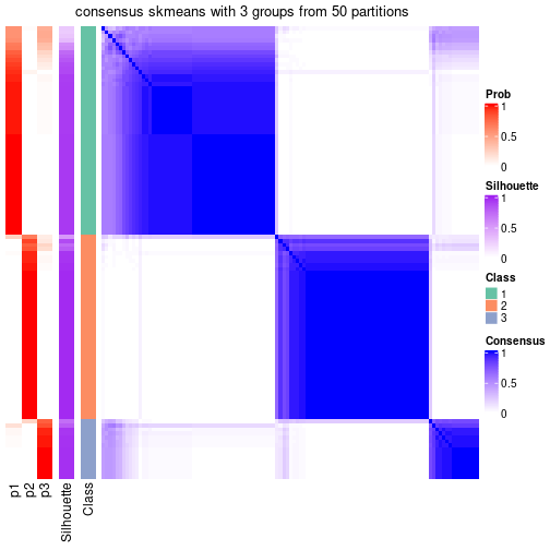 plot of chunk tab-node-032-consensus-heatmap-2