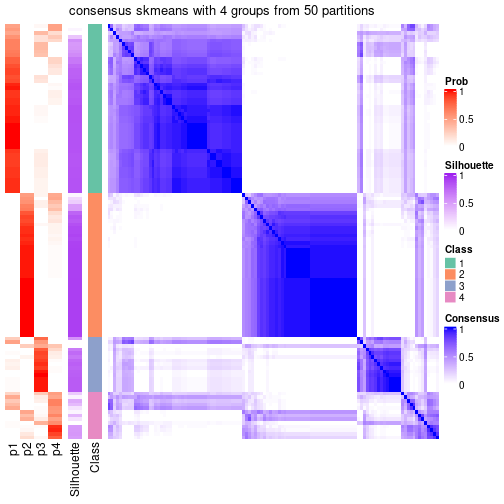 plot of chunk tab-node-032-consensus-heatmap-3