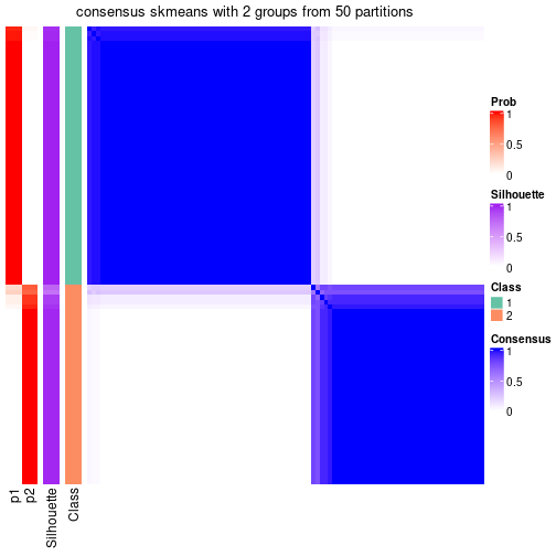 plot of chunk tab-node-033-consensus-heatmap-1