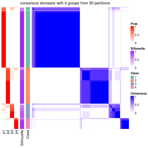 plot of chunk tab-node-0-consensus-heatmap-3