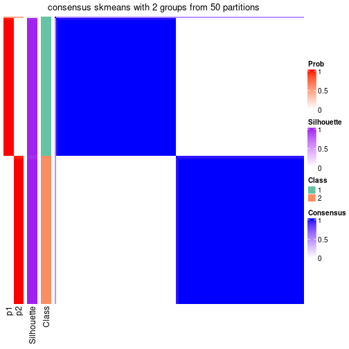 plot of chunk tab-node-01-consensus-heatmap-1