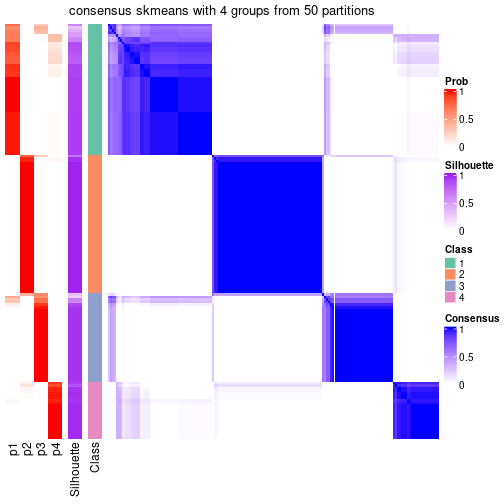 plot of chunk tab-node-01-consensus-heatmap-3