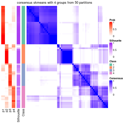 plot of chunk tab-node-011-consensus-heatmap-3