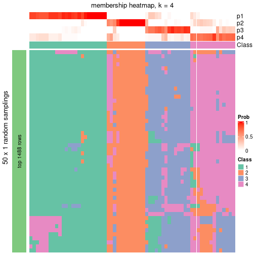 plot of chunk tab-node-011-membership-heatmap-3