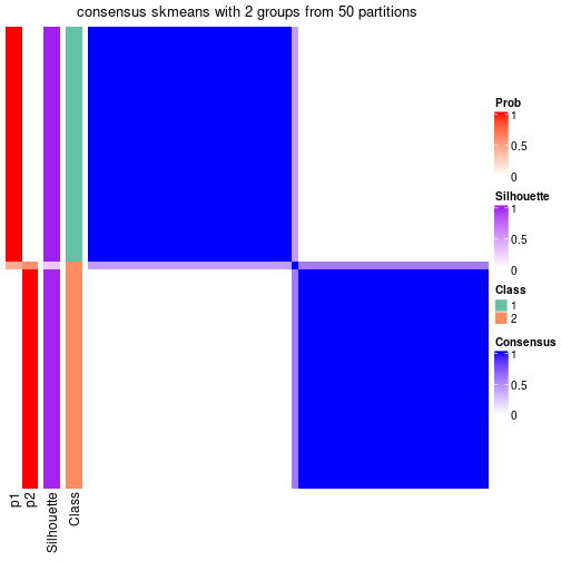 plot of chunk tab-node-012-consensus-heatmap-1