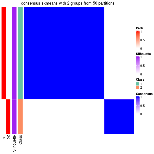 plot of chunk tab-node-02-consensus-heatmap-1