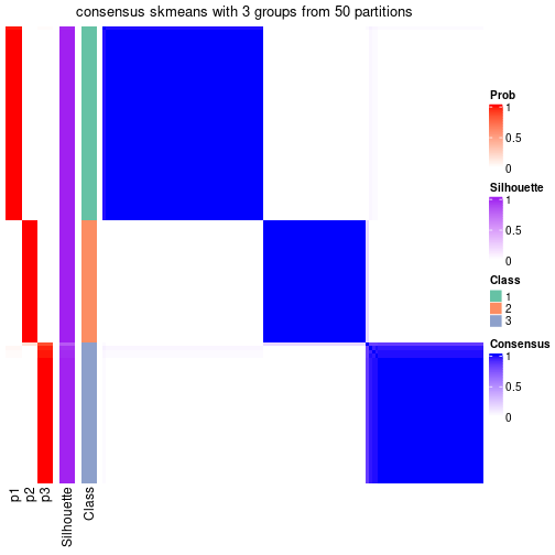 plot of chunk tab-node-02-consensus-heatmap-2