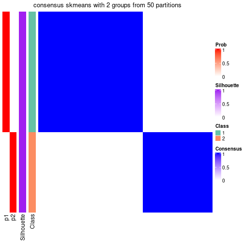 plot of chunk tab-node-0221-consensus-heatmap-1