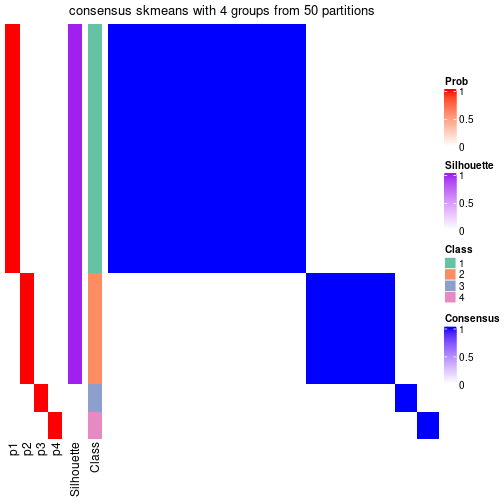 plot of chunk tab-node-0221-consensus-heatmap-3