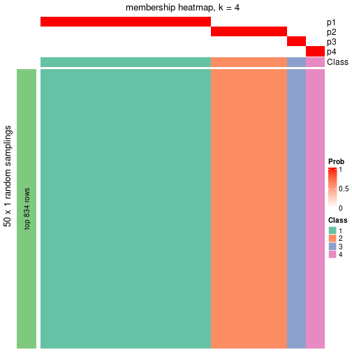 plot of chunk tab-node-0221-membership-heatmap-3