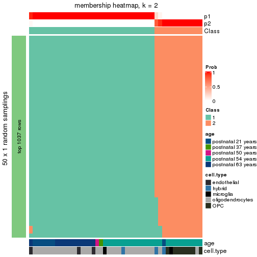 plot of chunk tab-node-013-membership-heatmap-1