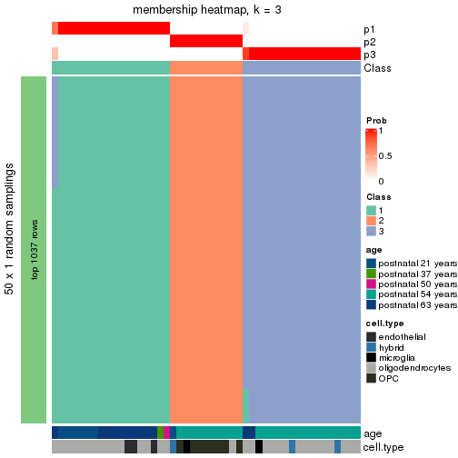 plot of chunk tab-node-013-membership-heatmap-2