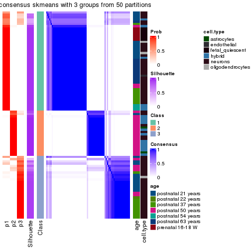 plot of chunk tab-node-021-consensus-heatmap-2