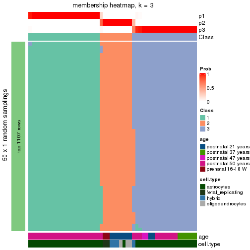 plot of chunk tab-node-03-membership-heatmap-2