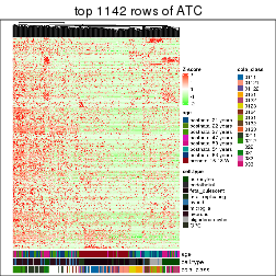 plot of chunk top-rows-heatmap