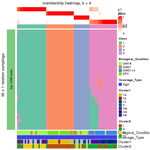 plot of chunk tab-node-0-membership-heatmap-3