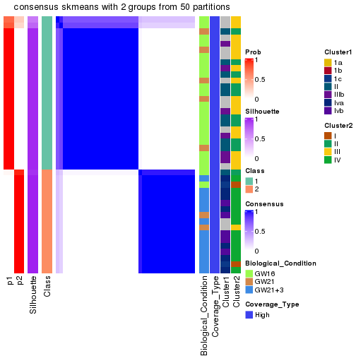 plot of chunk tab-node-01-consensus-heatmap-1