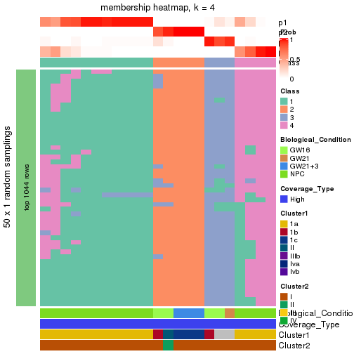 plot of chunk tab-node-02-membership-heatmap-3