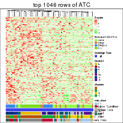 plot of chunk top-rows-heatmap