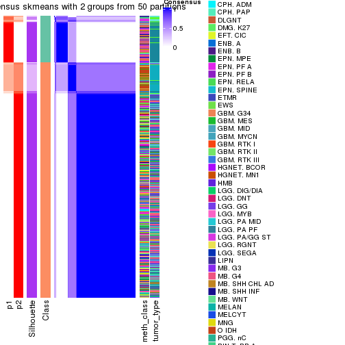 plot of chunk tab-node-0-consensus-heatmap-1