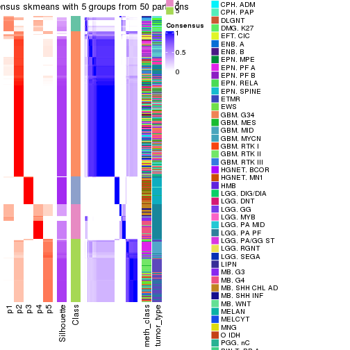 plot of chunk tab-node-0-consensus-heatmap-4