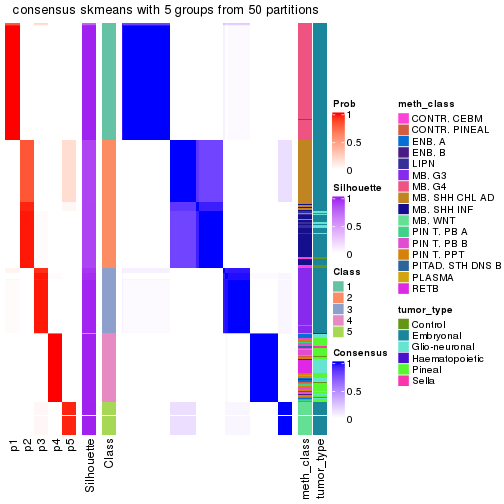 plot of chunk tab-node-01-consensus-heatmap-4