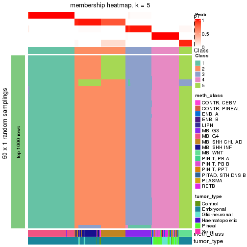 plot of chunk tab-node-01-membership-heatmap-4