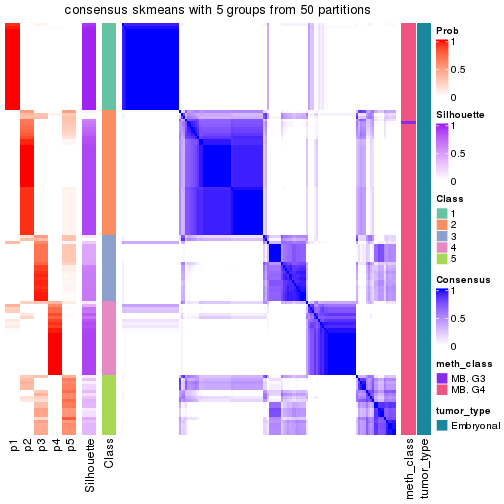 plot of chunk tab-node-011-consensus-heatmap-4