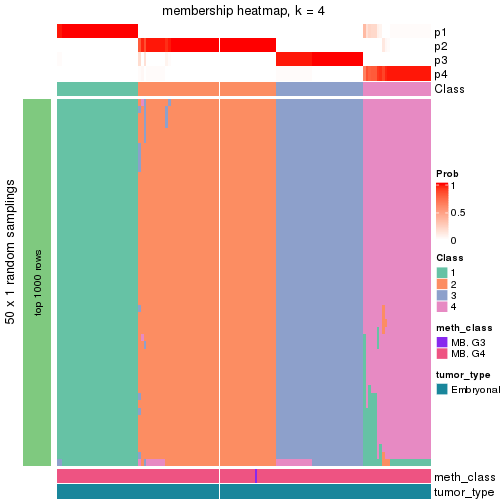 plot of chunk tab-node-011-membership-heatmap-3