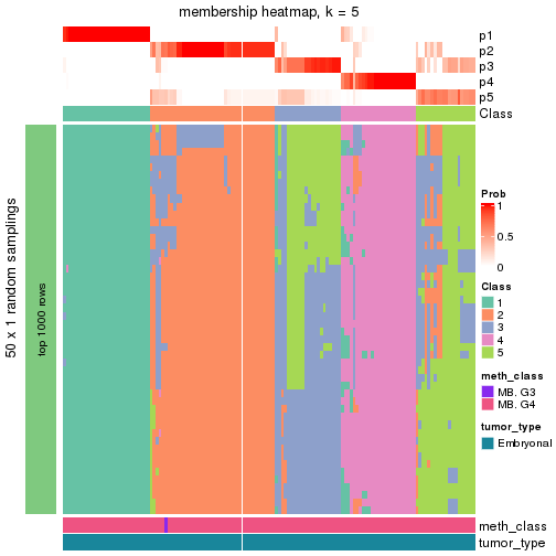 plot of chunk tab-node-011-membership-heatmap-4