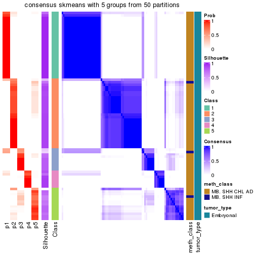 plot of chunk tab-node-012-consensus-heatmap-4