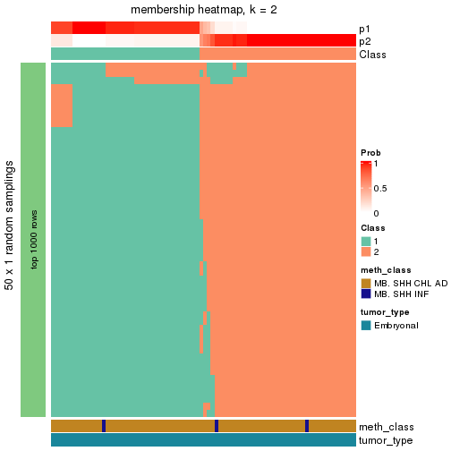 plot of chunk tab-node-012-membership-heatmap-1