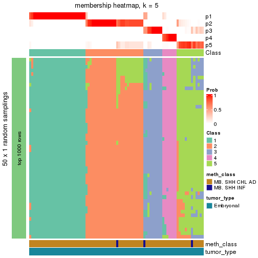 plot of chunk tab-node-012-membership-heatmap-4