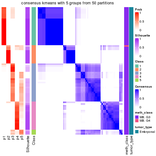 plot of chunk tab-node-013-consensus-heatmap-4